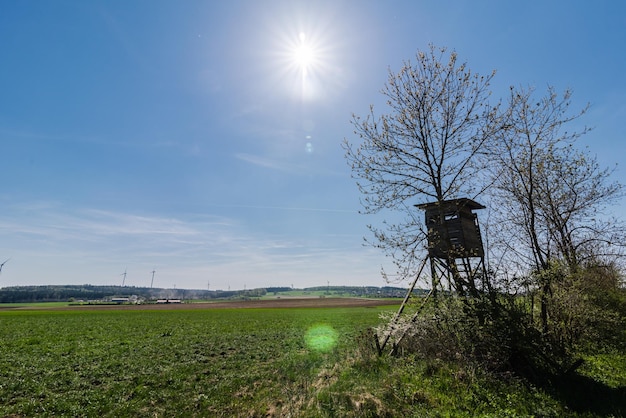 Foto landschaftsansicht des feldes gegen den himmel