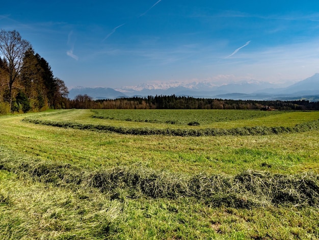 Foto landschaftsansicht des feldes gegen den himmel