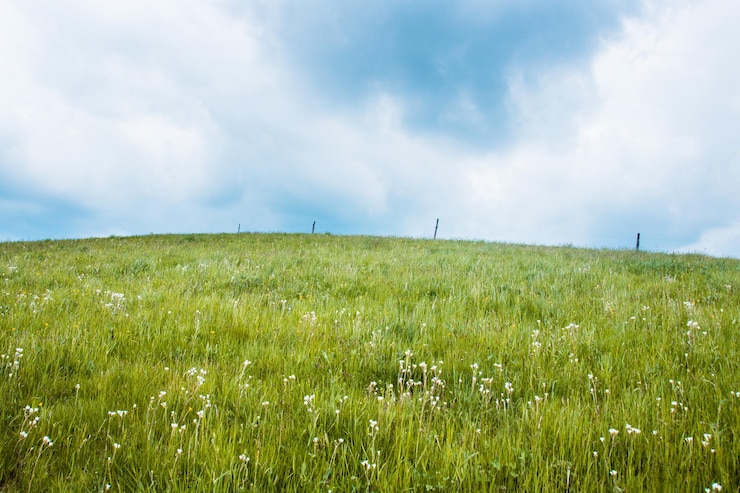 Foto landschaftsansicht des feldes gegen den himmel
