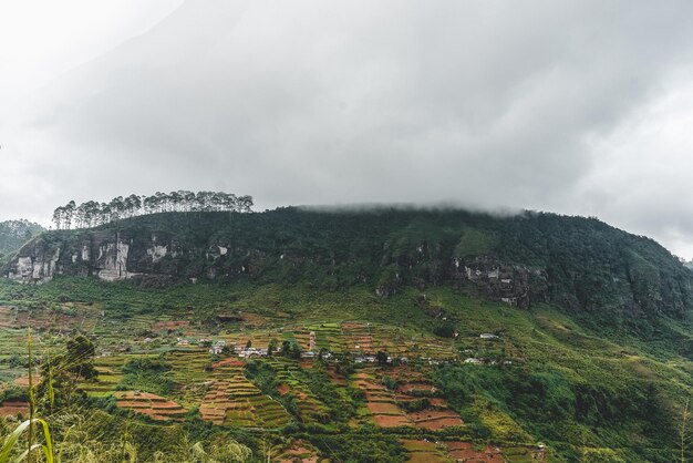 Landschaftsansicht des Feldes gegen den Himmel