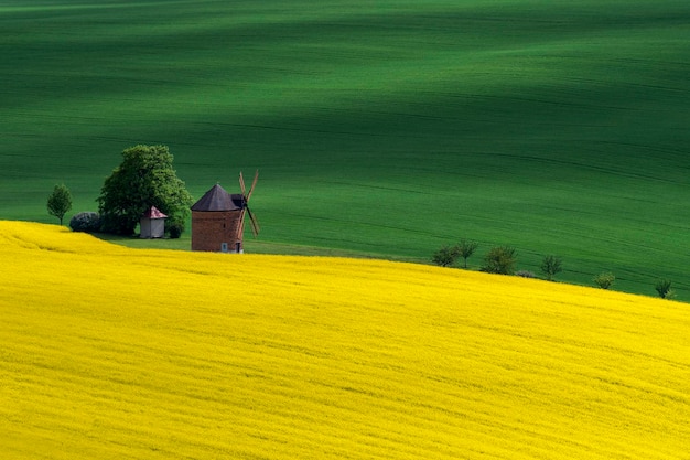 Landschaftsansicht des Feldes vor gelbem Himmel