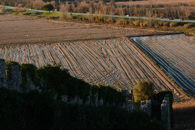 Foto landschaftsansicht des feldes