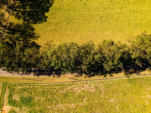 Foto landschaftsansicht des feldes