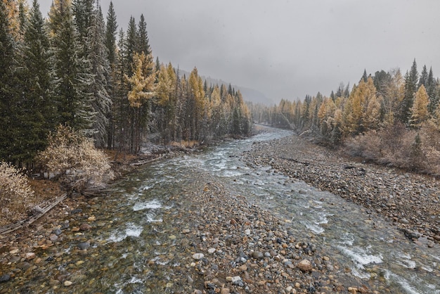 Landschaftsansicht des Flusses im Tal der Berge im Herbst Der erste Schneefall Altai