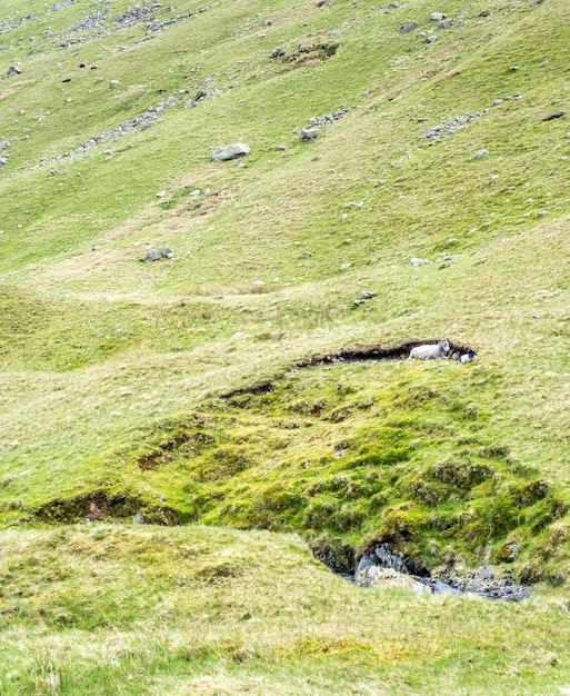 Landschaftsansicht des Grases über den Bergen unter bewölktem Abendhimmel im ländlichen England