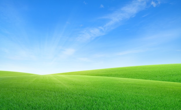 Landschaftsansicht des grünen Grases am Hang mit Hintergrund des blauen Himmels.