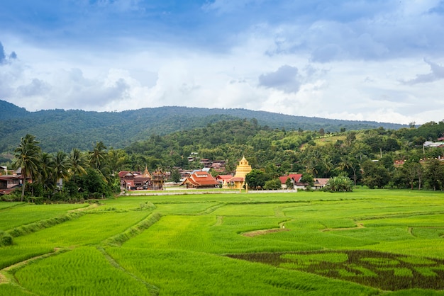 Landschaftsansicht des grünen Reisfeldes mit altem Tempel in goldener Pagode und im Berg Thailands