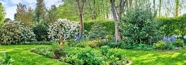 Landschaftsansicht des Landschaftsgartens in einem ruhigen, friedlichen privaten oder abgelegenen Hinterhof zu Hause Ordentlicher, ruhiger und frisch gemähter grüner Rasen und Gras Ruhiger, malerischer Naturgarten zum Entspannen in der Pause