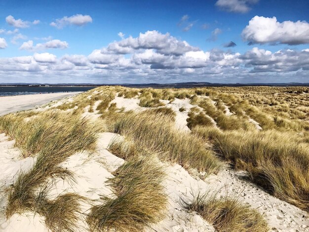 Foto landschaftsansicht des strandes gegen den himmel