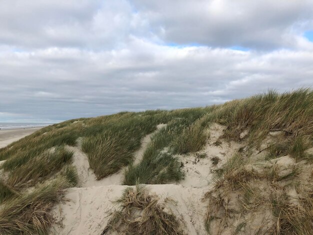 Foto landschaftsansicht des strandes gegen den himmel