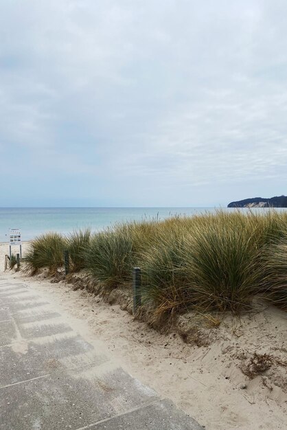 Foto landschaftsansicht des strandes gegen den himmel