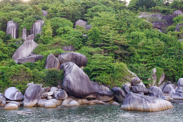 Foto landschaftsansicht des wasserfalls