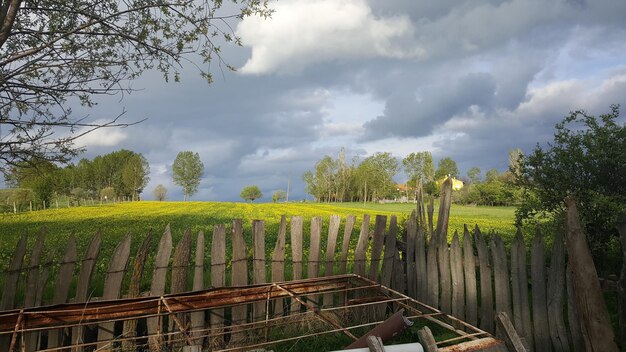 Landschaftsansicht eines Ackerfeldes vor dem Himmel