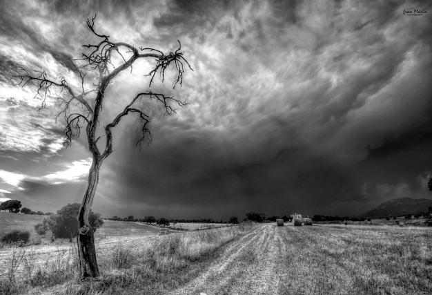 Foto landschaftsansicht eines ackerfeldes vor dem himmel