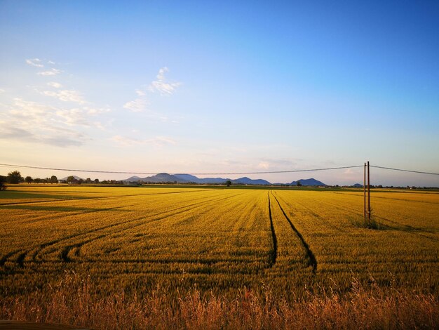 Foto landschaftsansicht eines ackerfeldes vor dem himmel