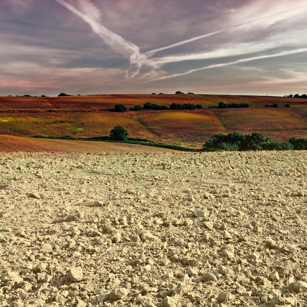 Foto landschaftsansicht eines ackerfeldes vor dem himmel