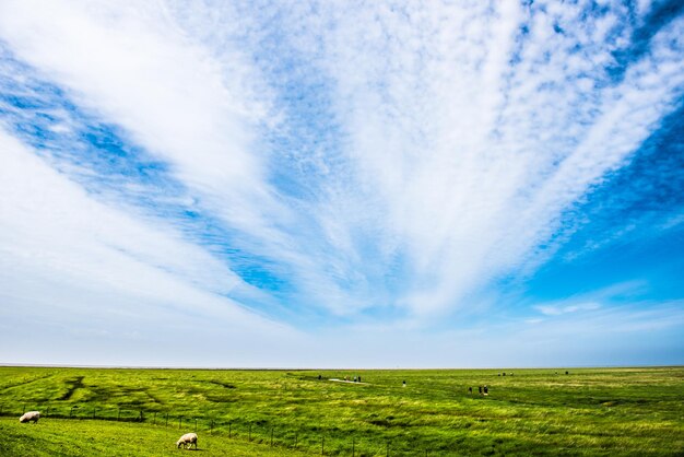 Foto landschaftsansicht eines ackerfeldes vor dem himmel