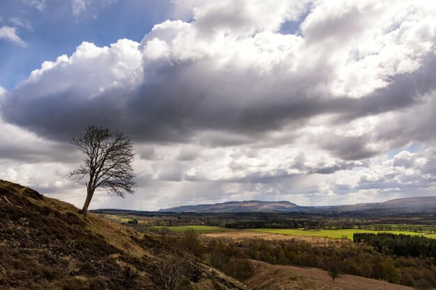 Landschaftsansicht eines Ackerfeldes vor dem Himmel