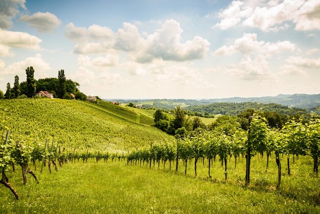 Foto landschaftsansicht eines ackerfeldes vor dem himmel