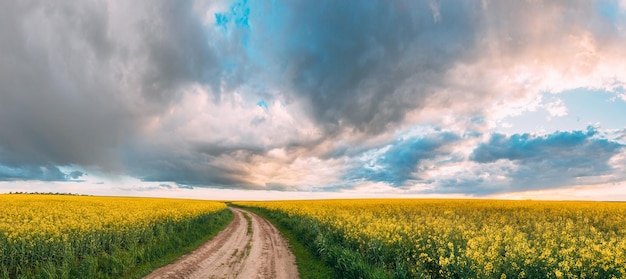 Landschaftsansicht eines Ackerfeldes vor dem Himmel