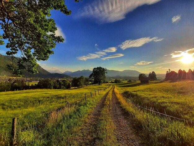 Landschaftsansicht eines Ackerfeldes vor dem Himmel