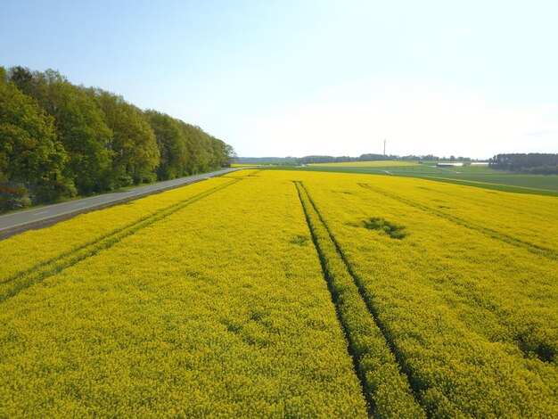 Foto landschaftsansicht eines ackerfeldes vor dem himmel