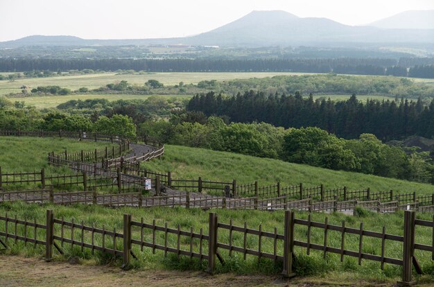 Landschaftsansicht eines Ackerfeldes vor dem Himmel