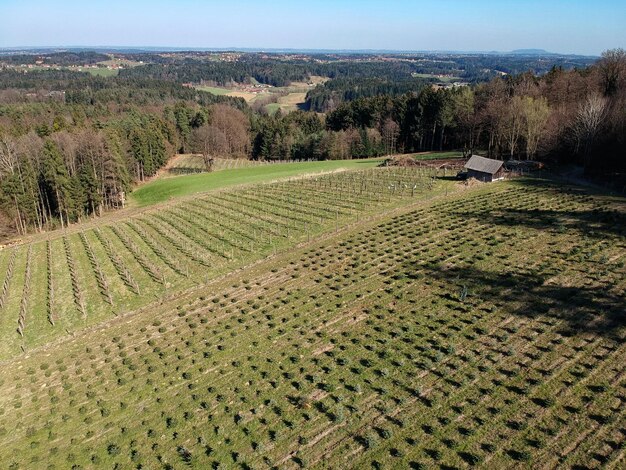 Foto landschaftsansicht eines ackerfeldes vor dem himmel