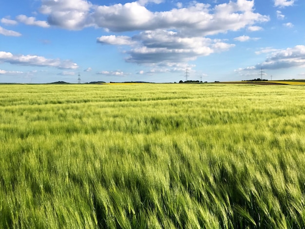 Landschaftsansicht eines Ackerfeldes vor dem Himmel