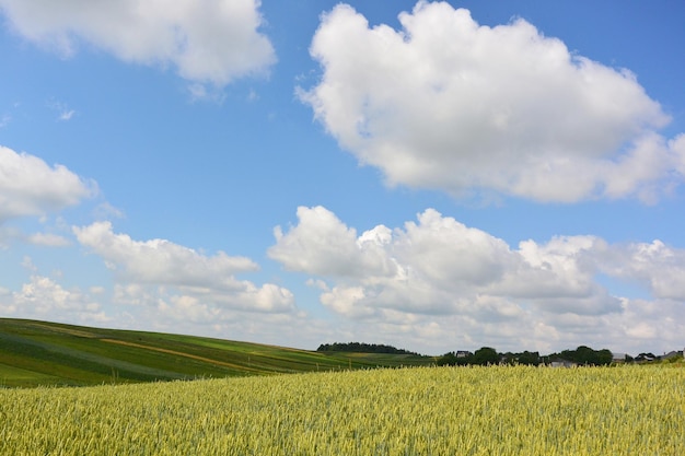 Foto landschaftsansicht eines ackerfeldes vor dem himmel