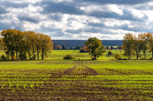 Foto landschaftsansicht eines ackerfeldes vor dem himmel