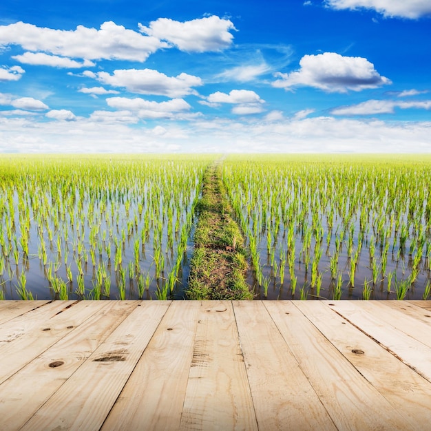 Landschaftsansicht eines Ackerfeldes vor dem Himmel