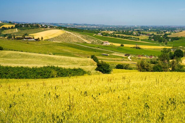 Foto landschaftsansicht eines ackerfeldes vor dem himmel