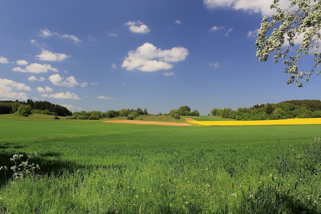 Landschaftsansicht eines Ackerfeldes vor dem Himmel