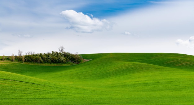 Landschaftsansicht eines Ackerfeldes vor dem Himmel