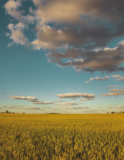 Landschaftsansicht eines Ackerfeldes vor dem Himmel