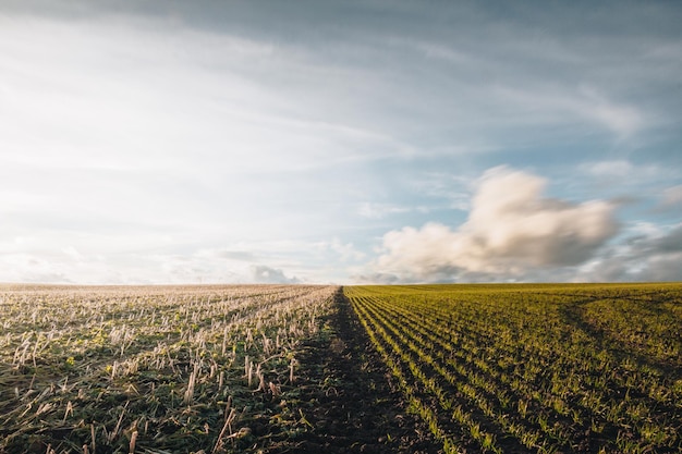 Landschaftsansicht eines Ackerfeldes vor dem Himmel