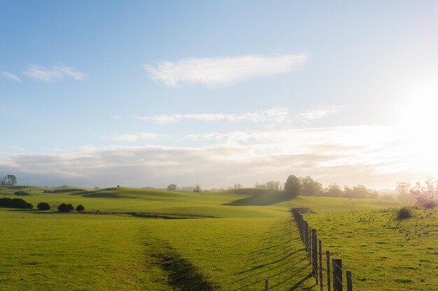 Landschaftsansicht eines Ackerfeldes vor dem Himmel