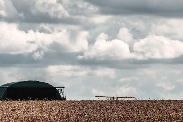 Landschaftsansicht eines Ackerfeldes vor dem Himmel