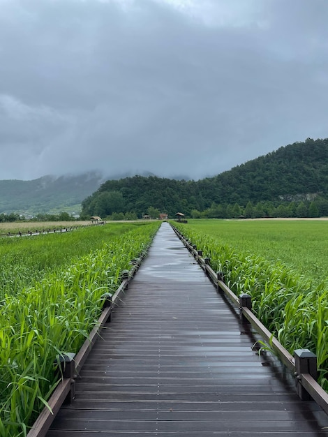 Landschaftsansicht eines Ackerfeldes vor dem Himmel