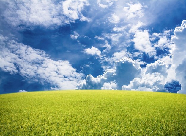 Foto landschaftsansicht eines ackerfeldes vor dem himmel