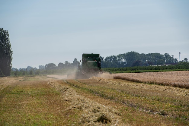 Landschaftsansicht eines Ackerfeldes vor dem Himmel