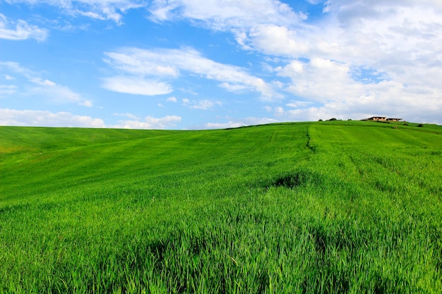 Landschaftsansicht eines Ackerfeldes vor dem Himmel