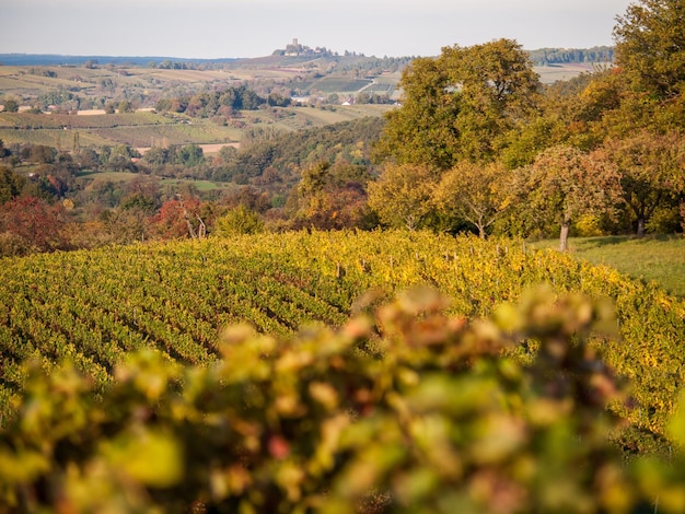 Landschaftsansicht eines Ackerfeldes