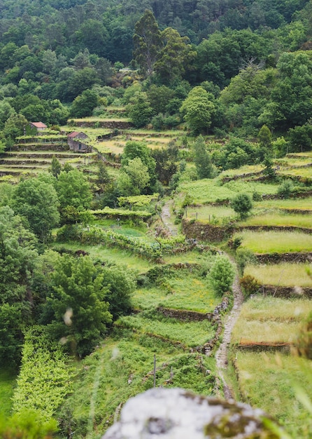 Foto landschaftsansicht eines ackerfeldes