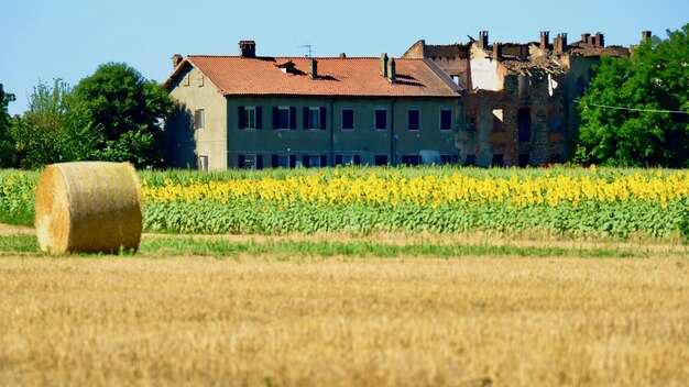 Foto landschaftsansicht eines ackerfeldes