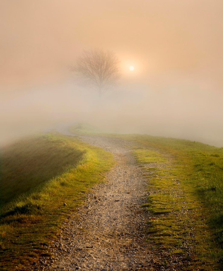 Foto landschaftsansicht gegen den himmel bei nebligem wetter