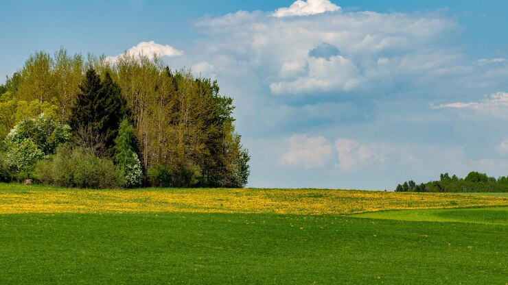 Foto landschaftsansicht gegen den himmel