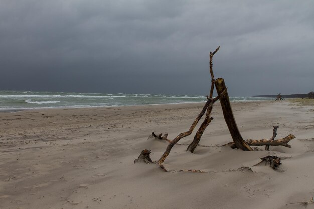 Landschaftsansicht Strandfeuer bei bewölktem Wetter am Strand