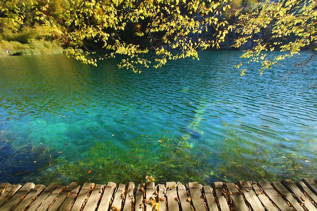 Landschaftsansicht von Blättern und See in der Herbstsaison im Nationalpark Plitvice Jezera in Kroatien.